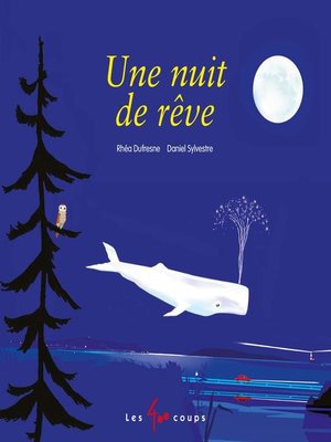cover image of Une nuit de rêve